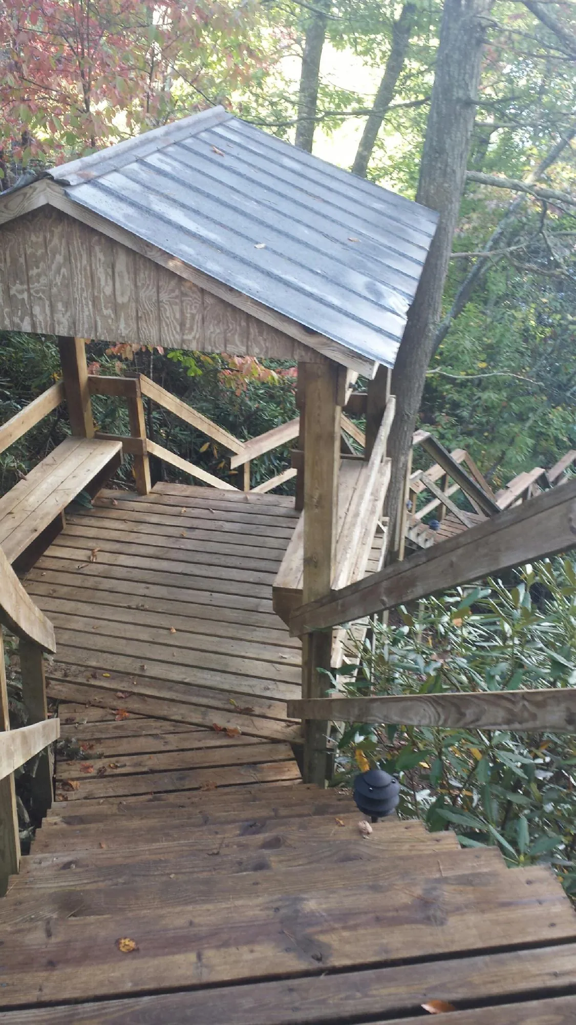 Metal roofed shelter over wooden steps on a wooded walkway in Bowling Green